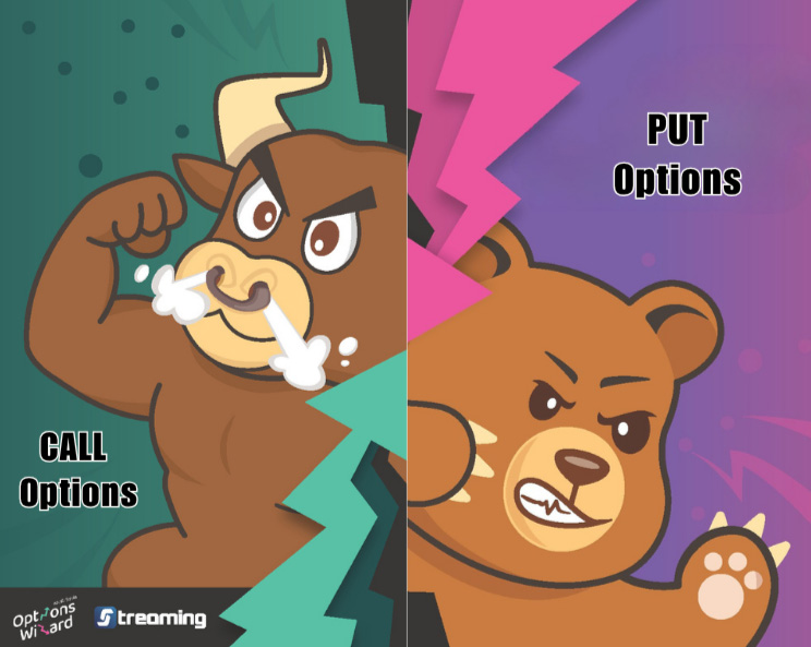 202507-Article-Options-wizard-guide-img01