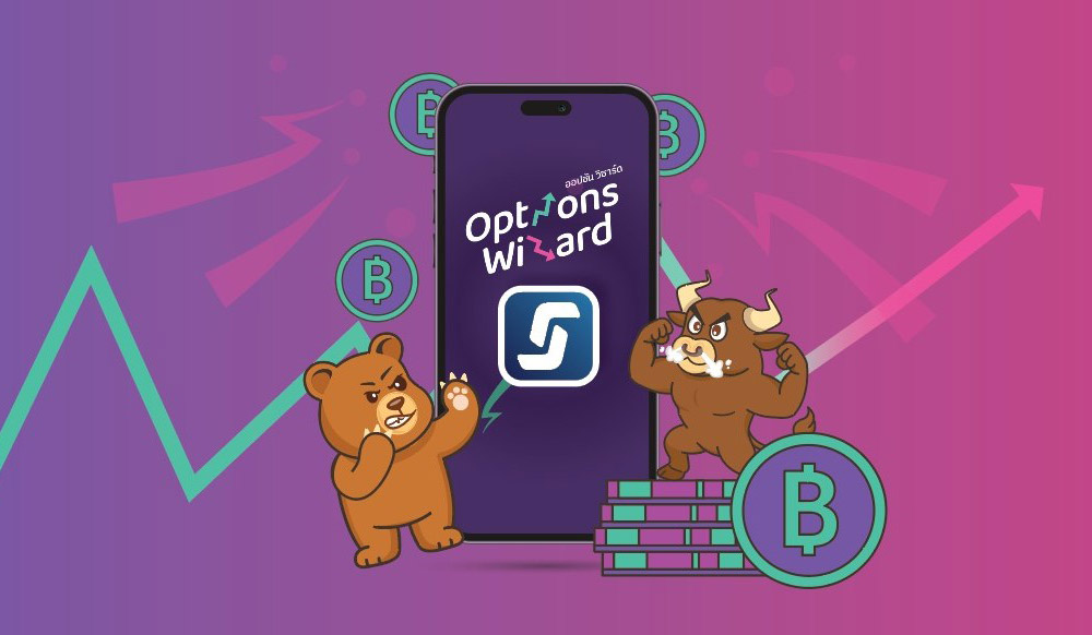 Options-Wizard-img-05